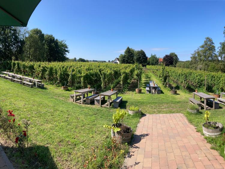 Singlereis Er even tussenuit Tussen Maas en Waal