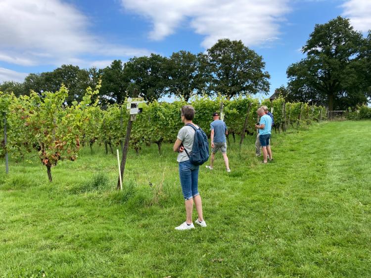 Singlereis Er even tussenuit Tussen Maas en Waal