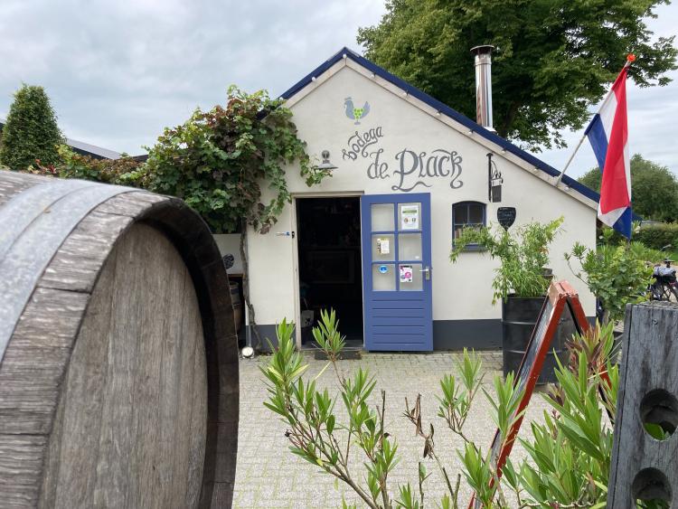 Singlereis Er even tussenuit Tussen Maas en Waal