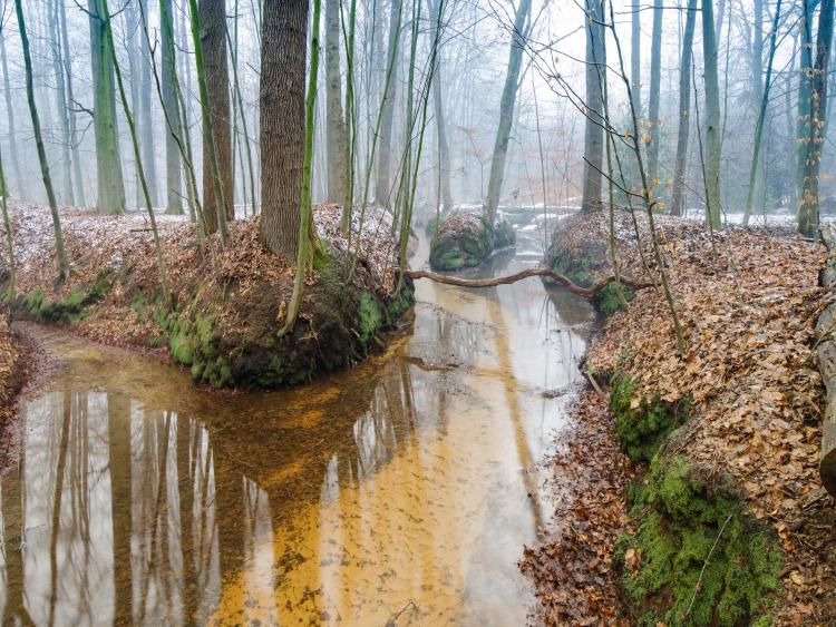Singlereis Er even tussenuit Tussen Maas en Waal