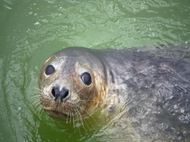 Singlereis Er even tussenuit op Terschelling