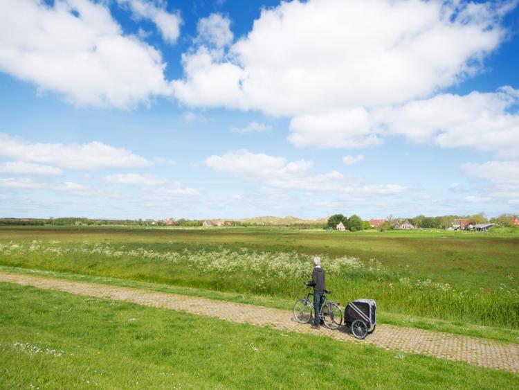 Singlereis Er even tussenuit op Terschelling
