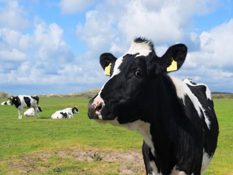 Singlereis Er even tussenuit op Terschelling