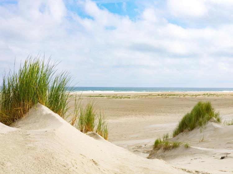 Singlereis Er even tussenuit op Terschelling