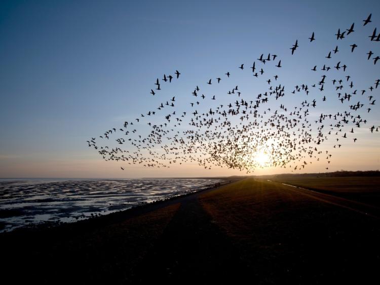 Singlereis Er even tussenuit op Terschelling