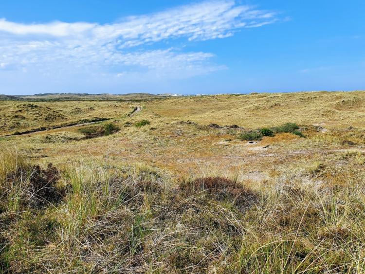 Singlereis Er even tussenuit op Terschelling