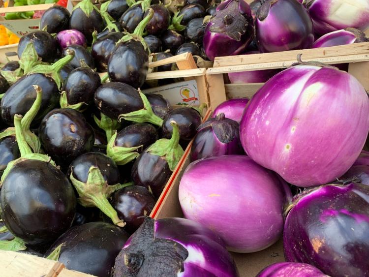 Singlereis Genieten van Zon en Cultuur in Calabrië