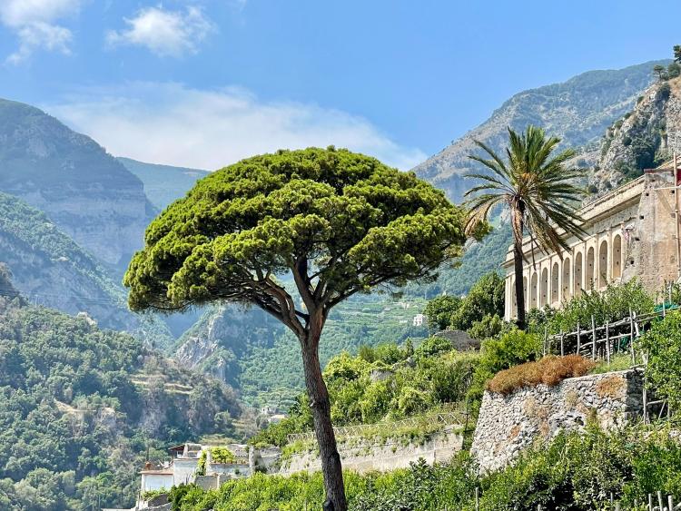 Singlereis Genieten van Zon en Cultuur Golf van Napels