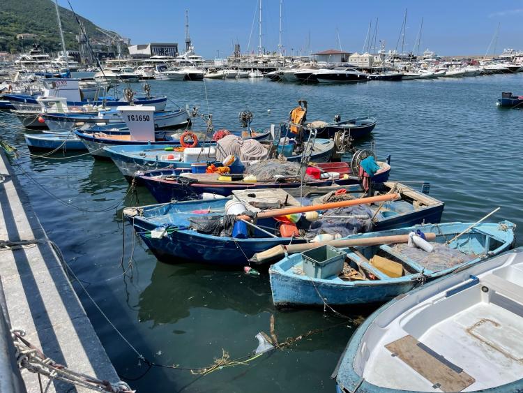 Singlereis Genieten van Zon en Cultuur Golf van Napels