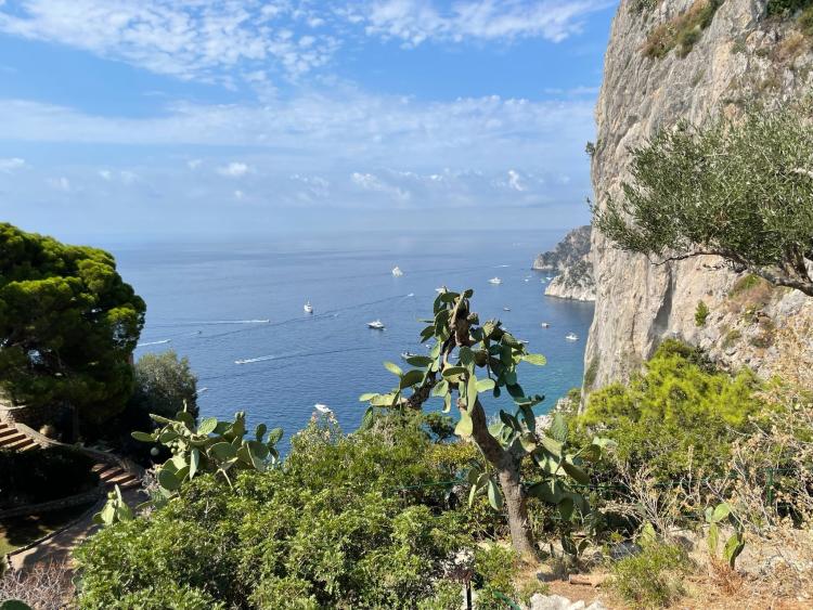 Singlereis Genieten van Zon en Cultuur Golf van Napels