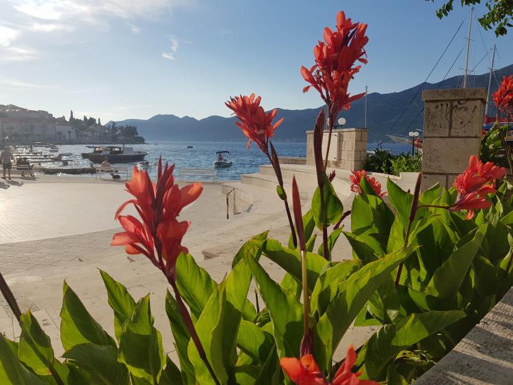 Singlereis Genieten van Zon en Cultuur Dalmatische Kust