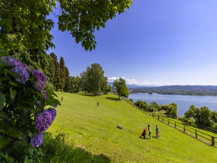 Singlereis Genieten van Zon en Cultuur aan het Lago Maggiore