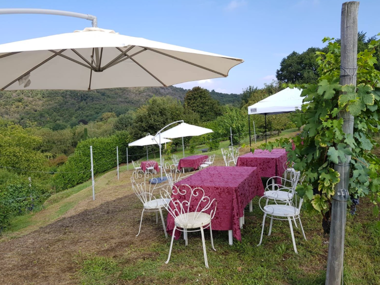 Singlereis Genieten van Zon en Cultuur aan het Lago Maggiore