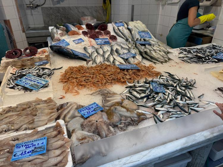 Singlereis Genieten van Zon en Cultuur aan de Bloemenrivièra