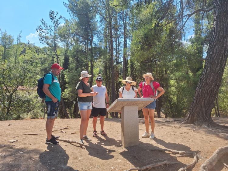 Singlereis Genieten van Zon en Cultuur voor- en najaar Peloponnesos, Epidaurus