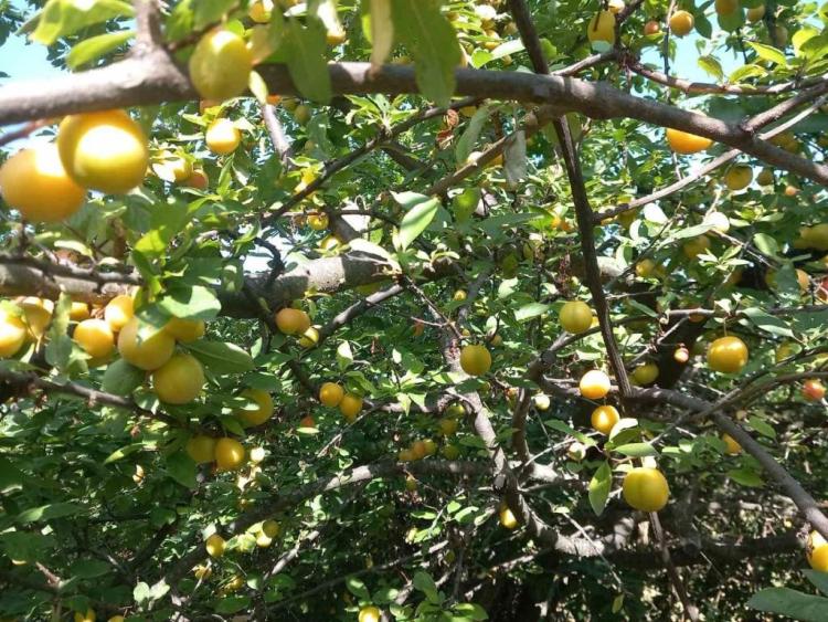Singlereis Genieten van Zon en Cultuur In Gabrovo, Noord-Macedonië