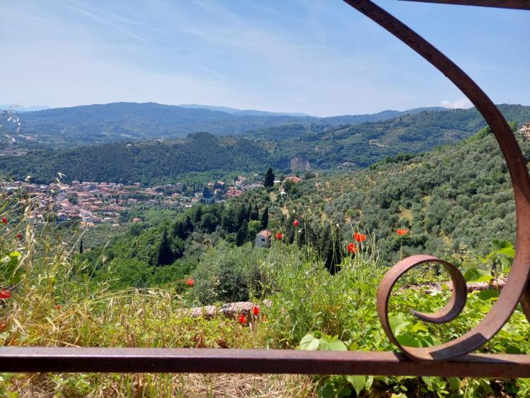Singlereis Genieten van Zon en Cultuur in Toscane