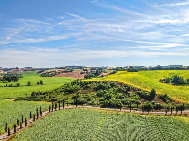 Singlereis Genieten van Zon en Cultuur in Toscane