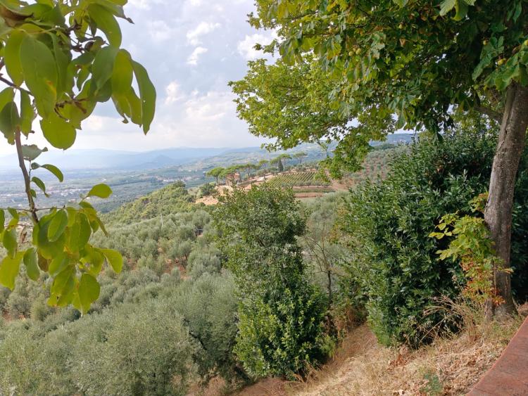 Singlereis Genieten van Zon en Cultuur in Toscane