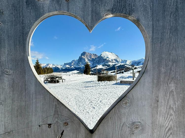 Singlereis Genieten van wintersport Val di Fassa - Campitello
