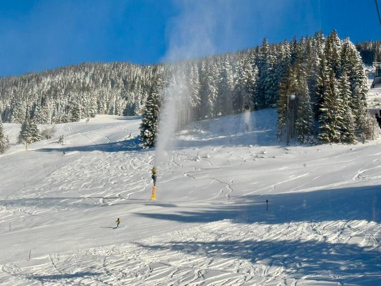 Singlereis Genieten van wintersport in Zell am See