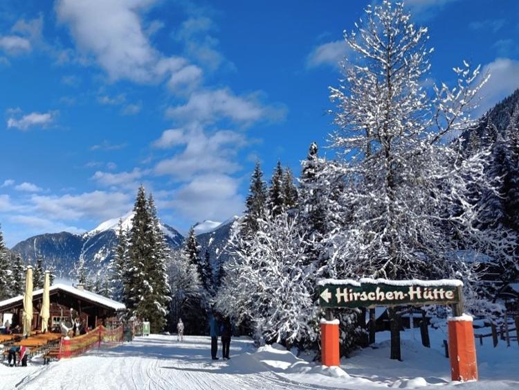 Singlereis Genieten van wintersport in Ski Amadé - Gastein