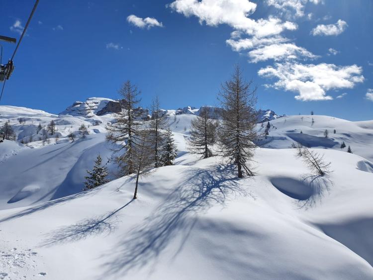 Singlereis Genieten van wintersport in Pinzolo