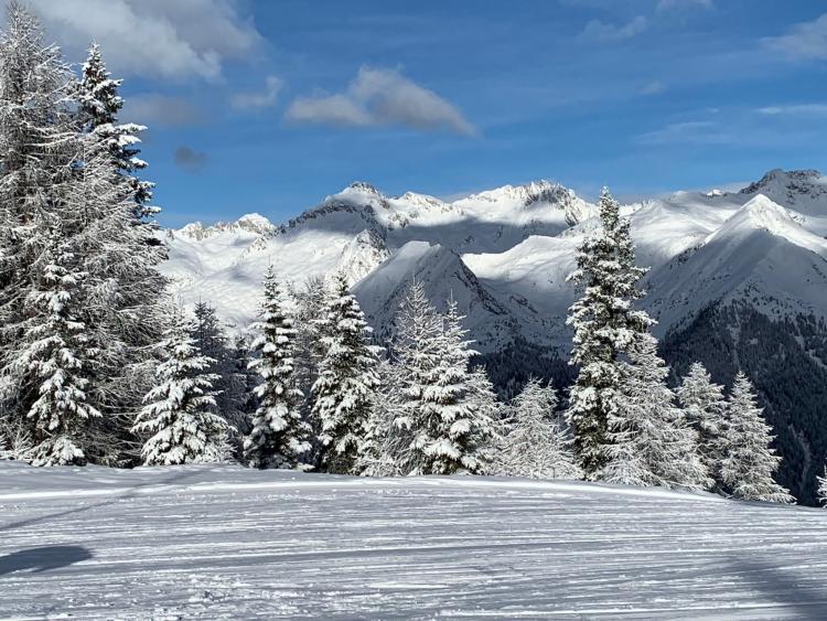 Singlereis Genieten van wintersport in Pinzolo