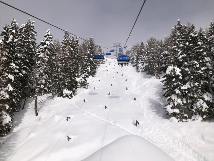 Singlereis Genieten van wintersport in Pinzolo