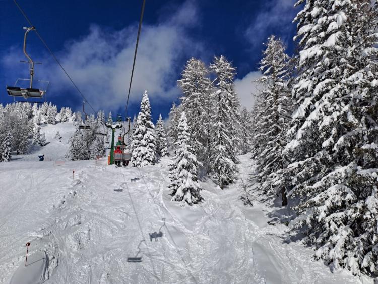 Singlereis Genieten van wintersport in Pinzolo