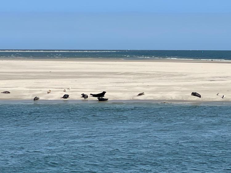 Singlereis HBO+ Midweek Ameland