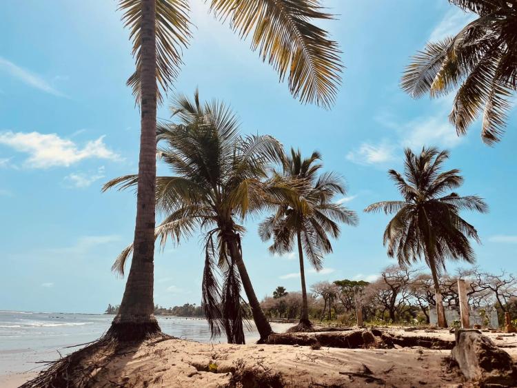 Singlereis HBO+ Winterzon in Gambia