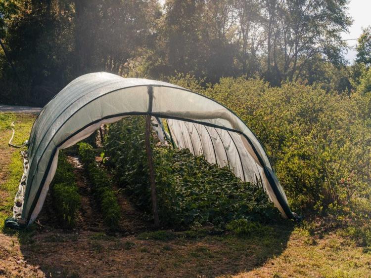 Singlereis HBO+ Ontdek Macedonië en Tessaloniki