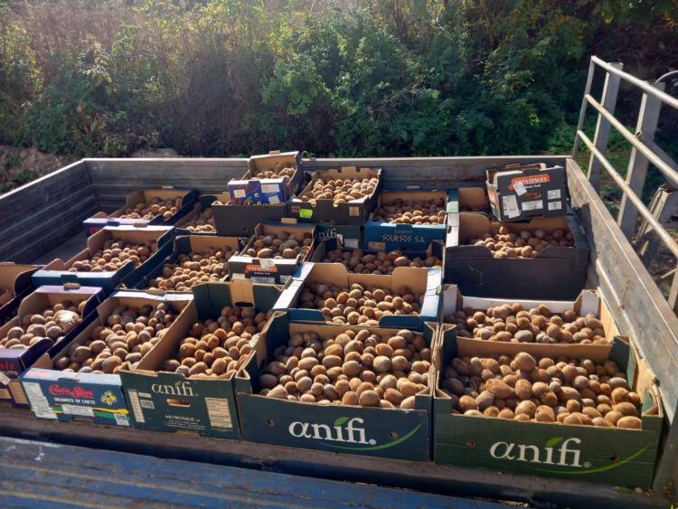 Singlereis HBO+ Ontdek Macedonië en Tessaloniki