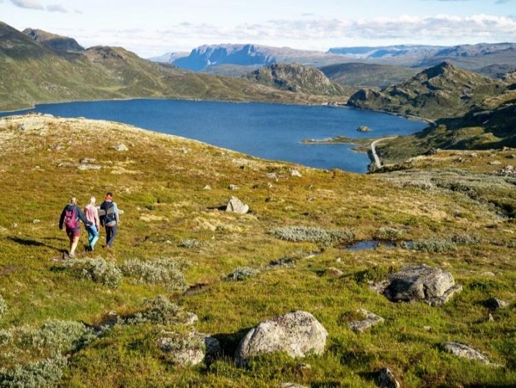 Singlereis Hike-vakantie (HBO-WO) in Noorwegen