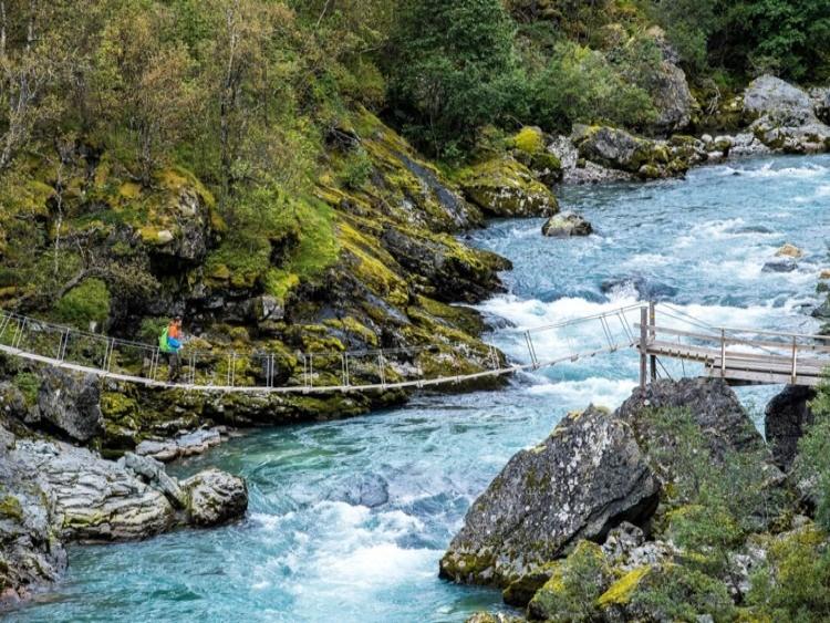 Singlereis Hike-vakantie (HBO-WO) in Noorwegen