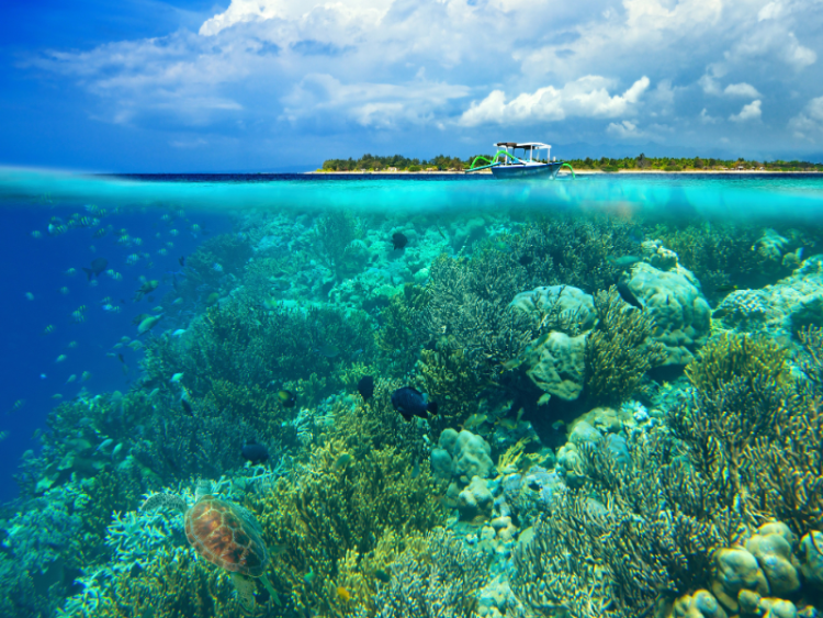 Dag 17: Gili Eilanden / Snorkelexcursie