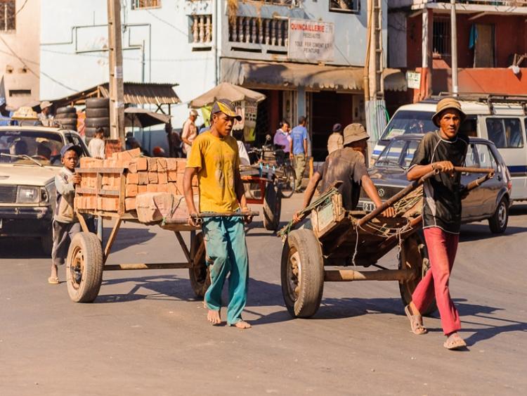 Dag 12 - Ranomafana N.P. - Antsirabe