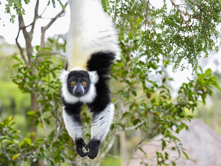 Dag 1: Vertrek naar Madagascar