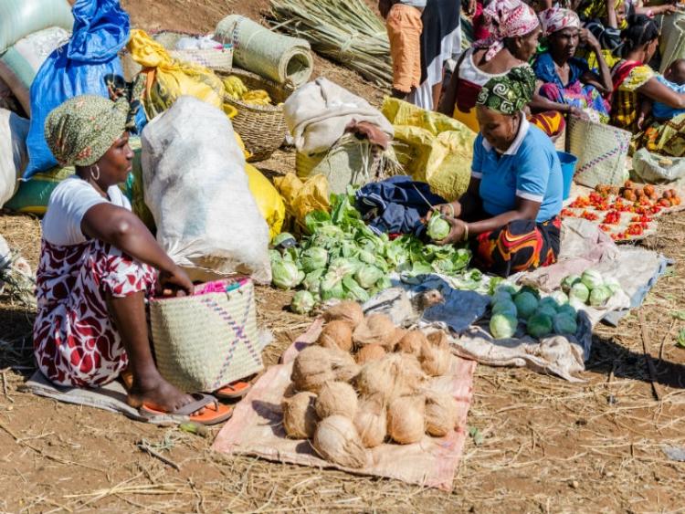 Dag 2: Aankomst Antananarivo