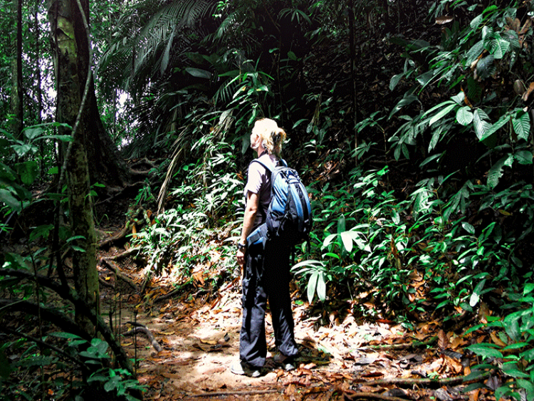 Dag 12 - Taman Negara