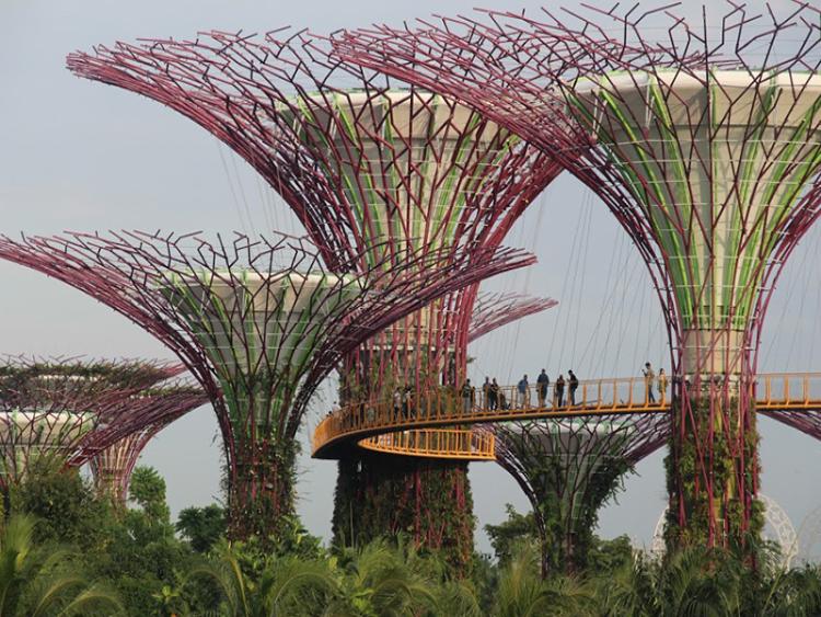 Dag 19 -  Pulau Besar – Singapore