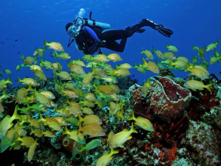 Dag 21 - Playa del Carmen