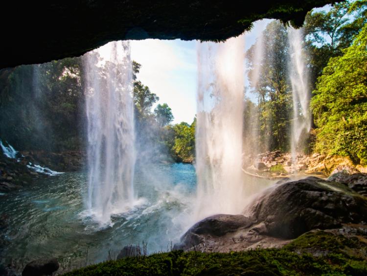 Dag 5 - Palenque