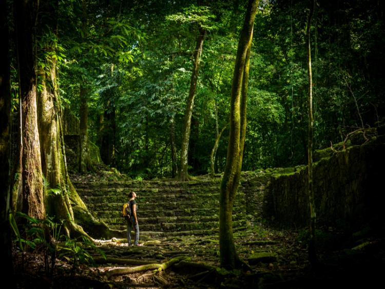 Dag 10 - Palenque / Excursie Yaxchilán en Bonampak