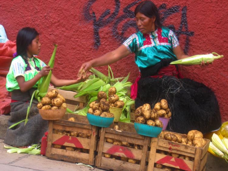 Dag 7 - San Cristóbal de las Casas / Excursie Cañon del Sumidero