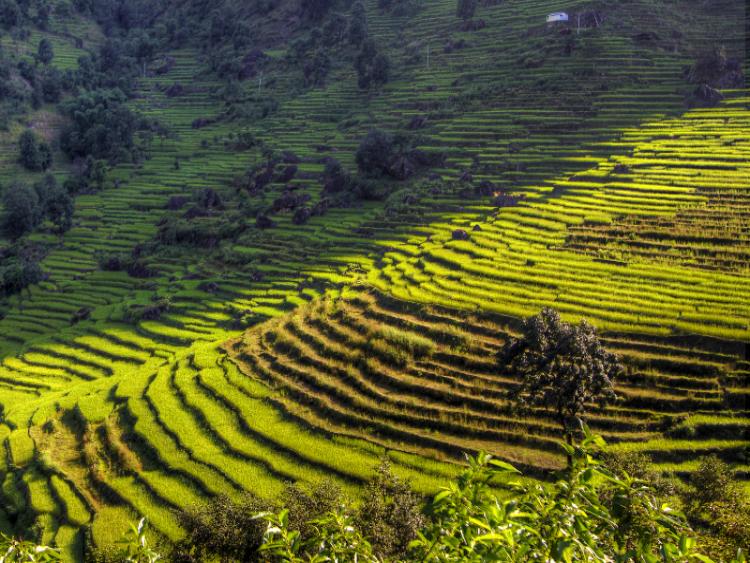 Dag 4 - Kathmandu - Pokhara