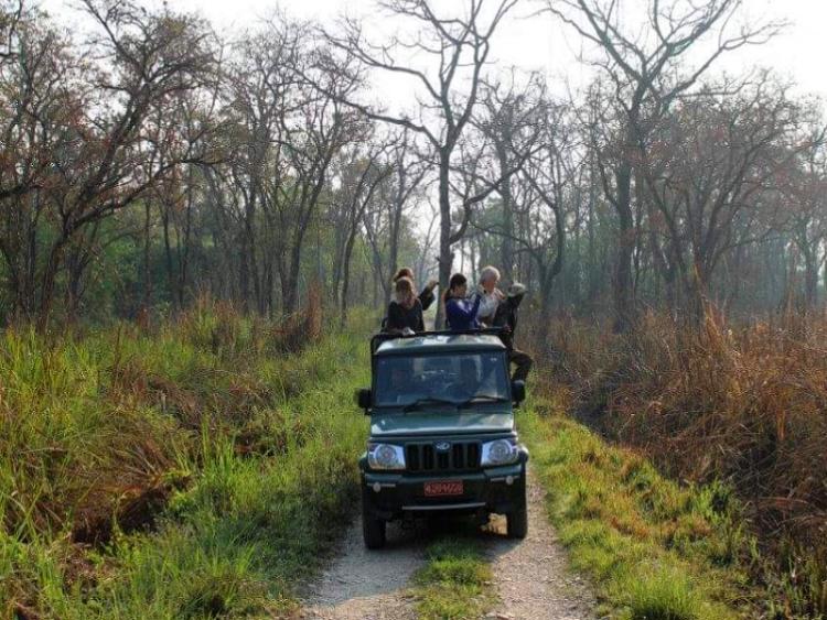 Dag 9 - Chitwan