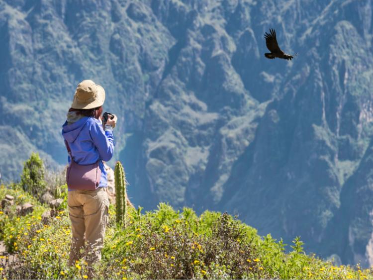 Dag 8 - Chivay (Colca Canyon) - Puno