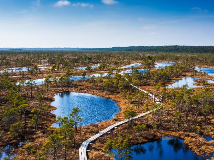 Dag 9: Riga / Bezoek Kemeri N.P. en Jurmala
